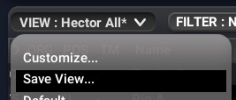 Open VIEW menu and choose Save View